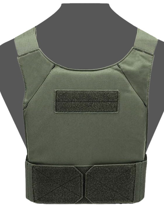 Warrior Assault Covert Plate Carrier | Ranger Green